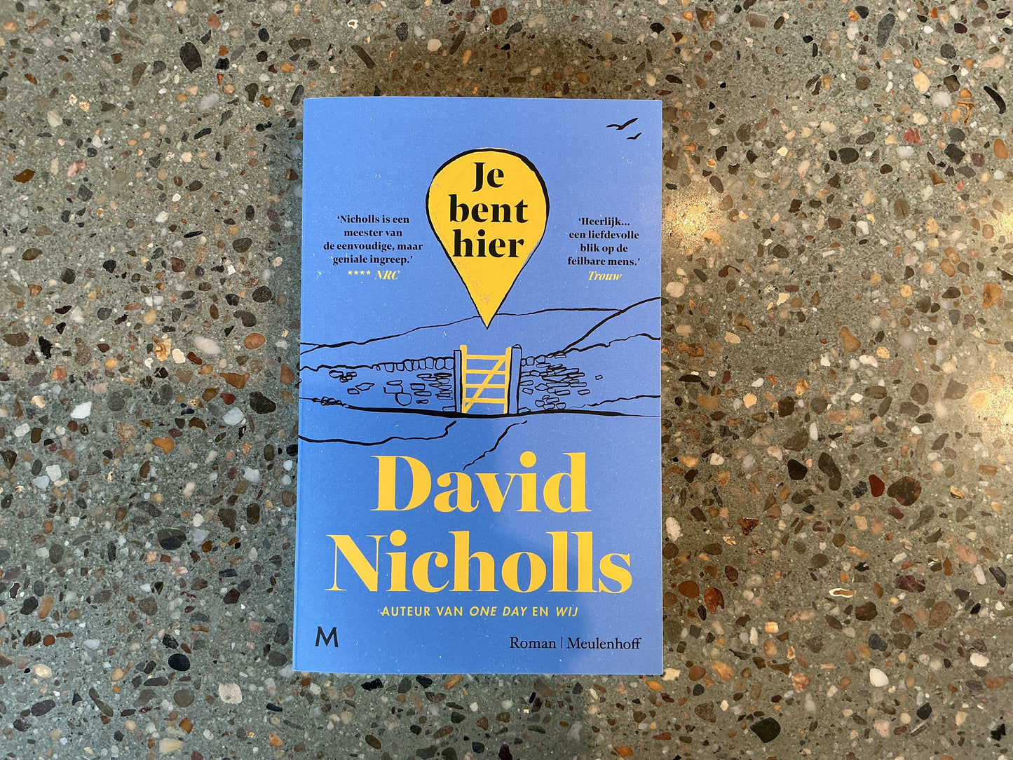 Je bent hier - David Nicholson