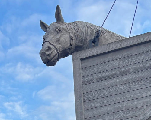 Speciaal voor dierenvrienden