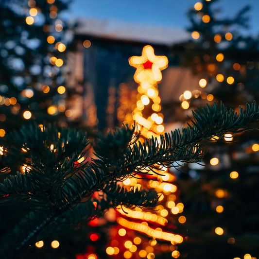A Walk Along the Festive Lights of Rotterdam